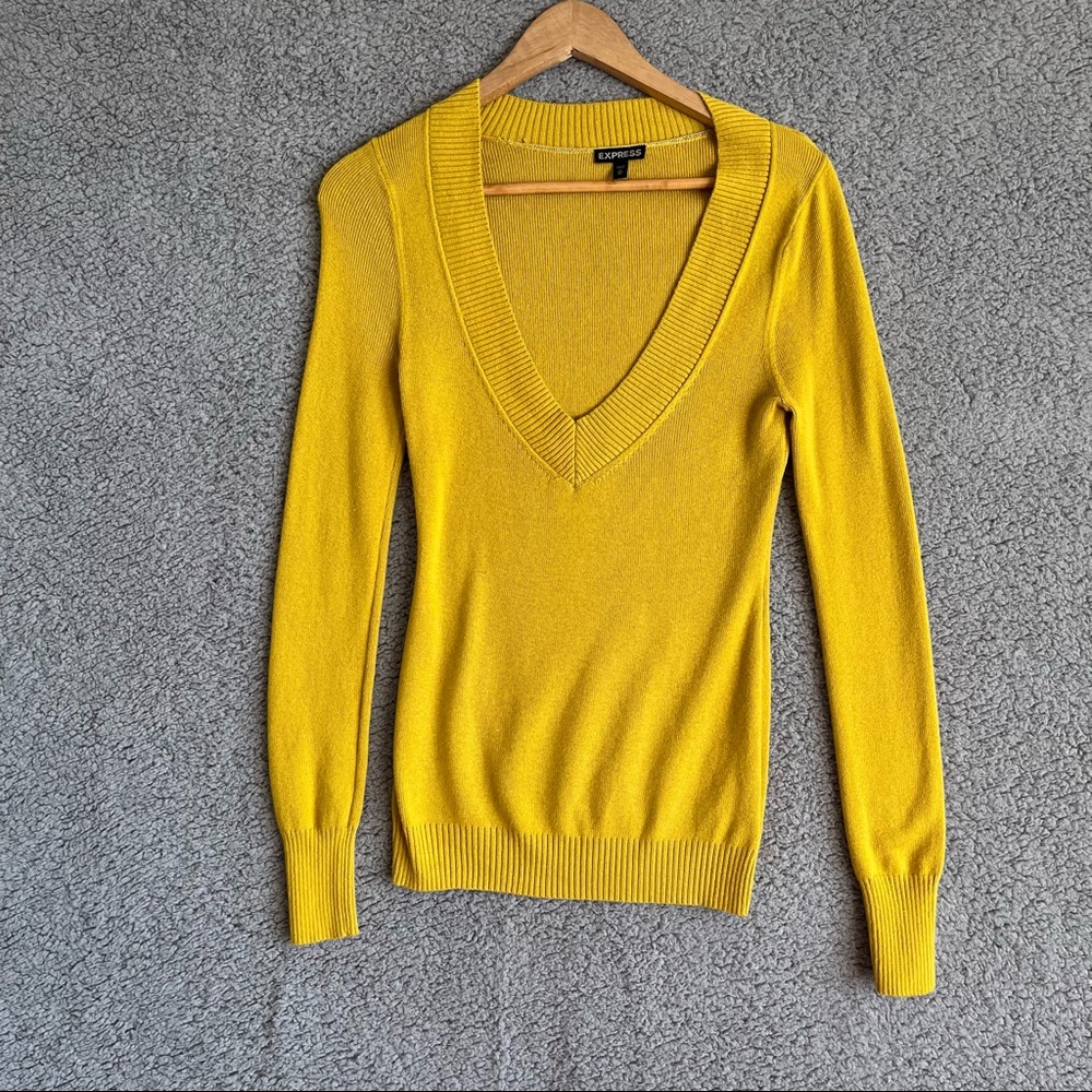Express Women Long Sleeve Sweater
